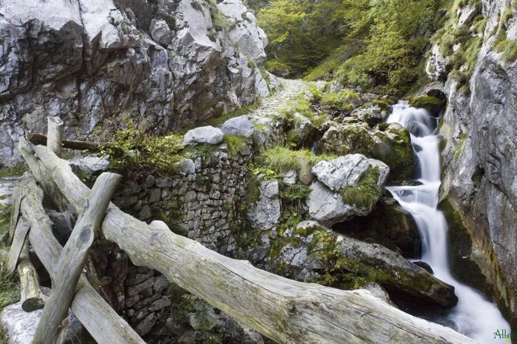 Los Molinos - Atico En Montana De Asturias Felechosa Εξωτερικό φωτογραφία