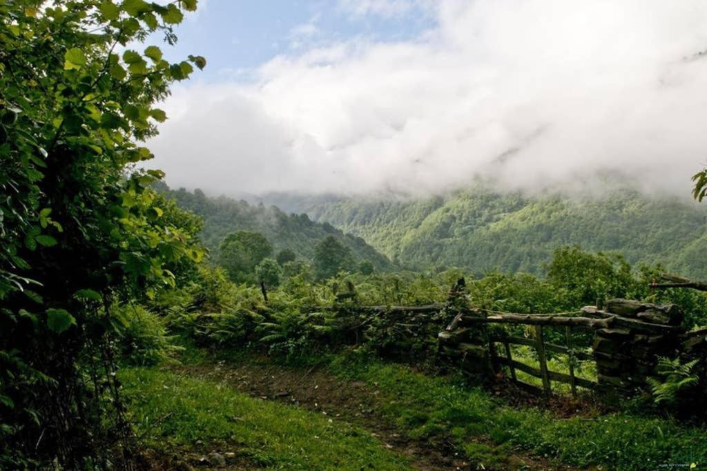 Los Molinos - Atico En Montana De Asturias Felechosa Εξωτερικό φωτογραφία