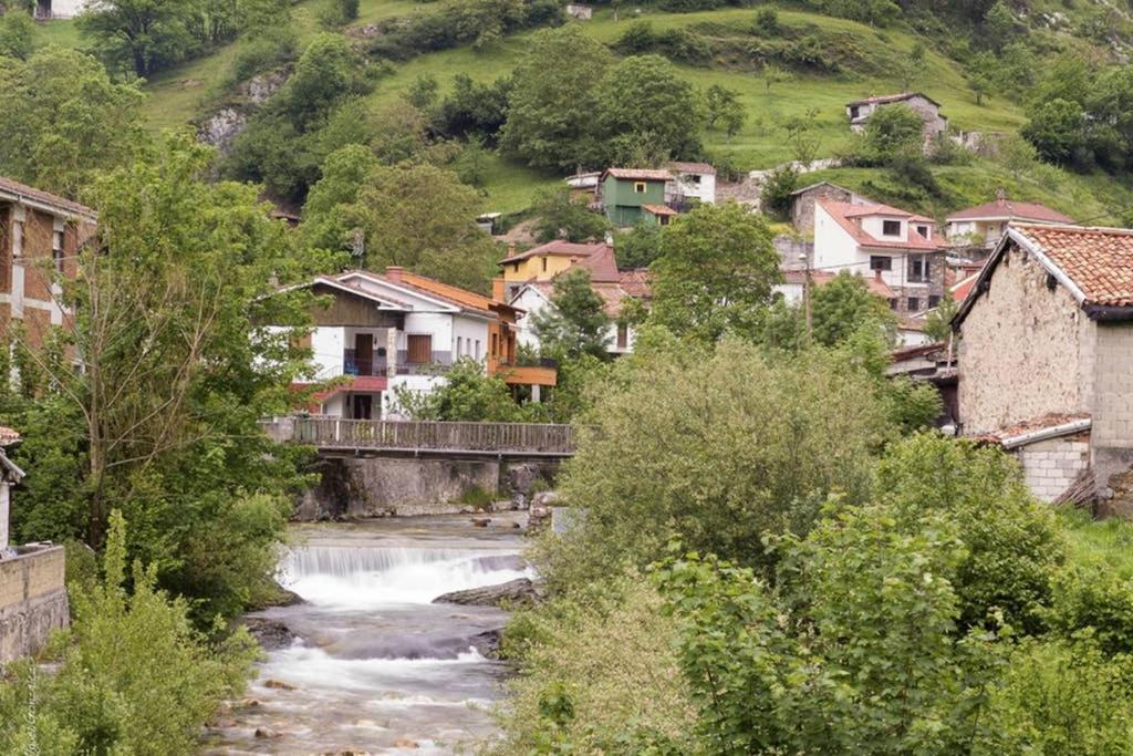 Los Molinos - Atico En Montana De Asturias Felechosa Εξωτερικό φωτογραφία
