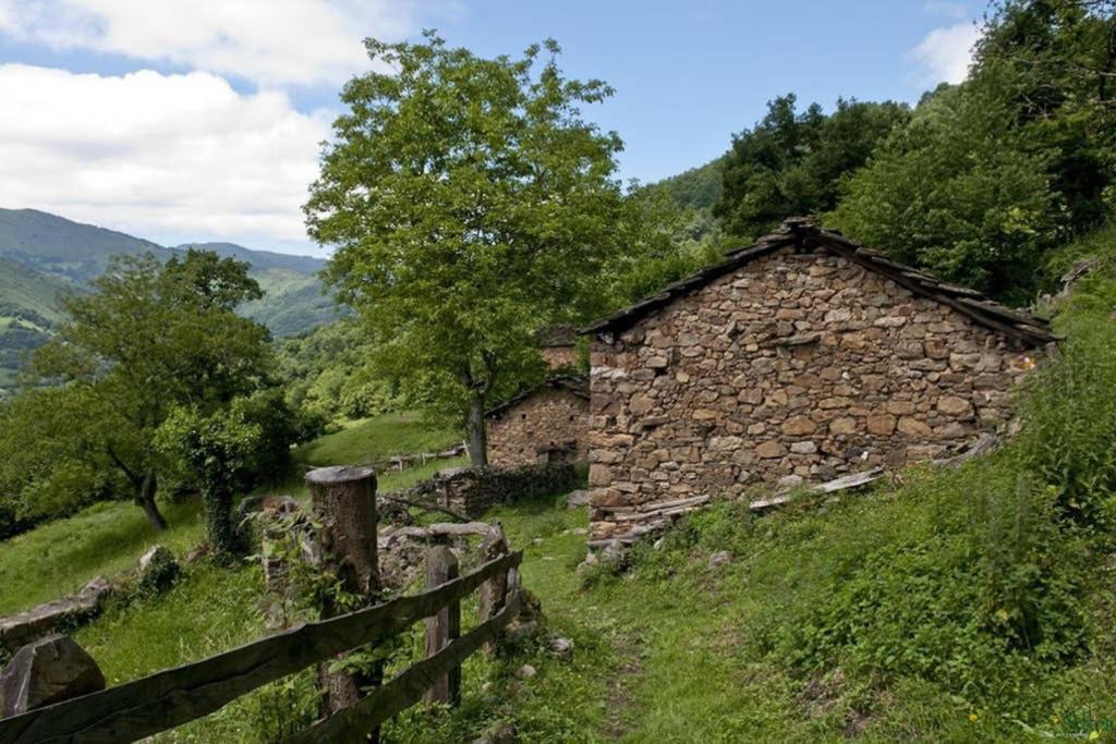 Los Molinos - Atico En Montana De Asturias Felechosa Εξωτερικό φωτογραφία
