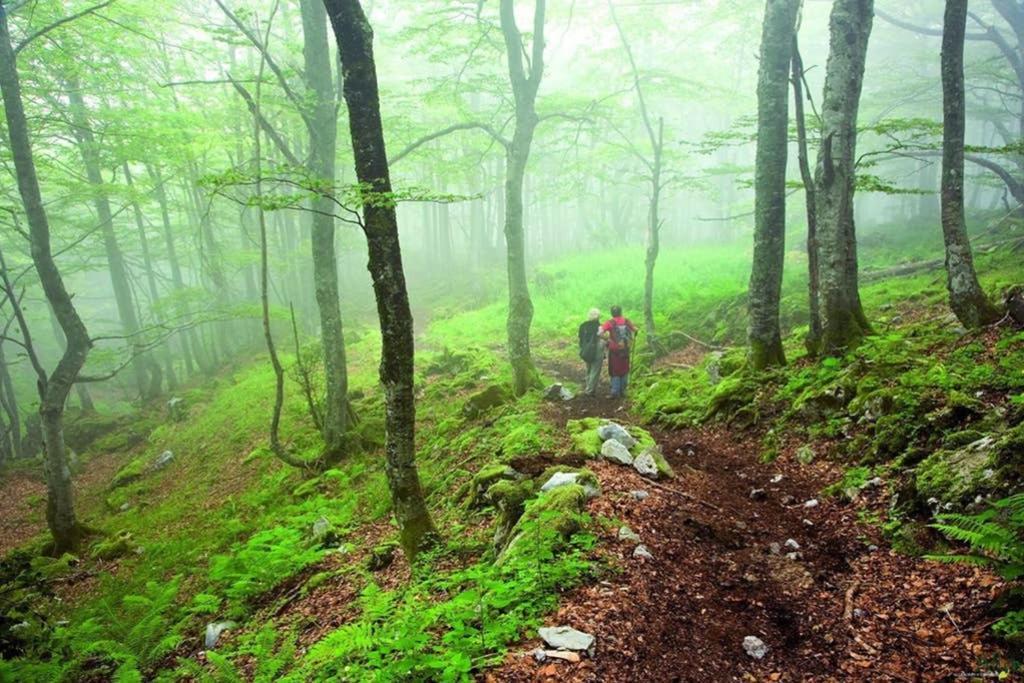 Los Molinos - Atico En Montana De Asturias Felechosa Εξωτερικό φωτογραφία