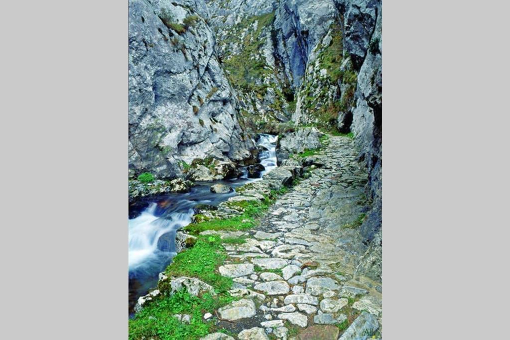 Los Molinos - Atico En Montana De Asturias Felechosa Εξωτερικό φωτογραφία