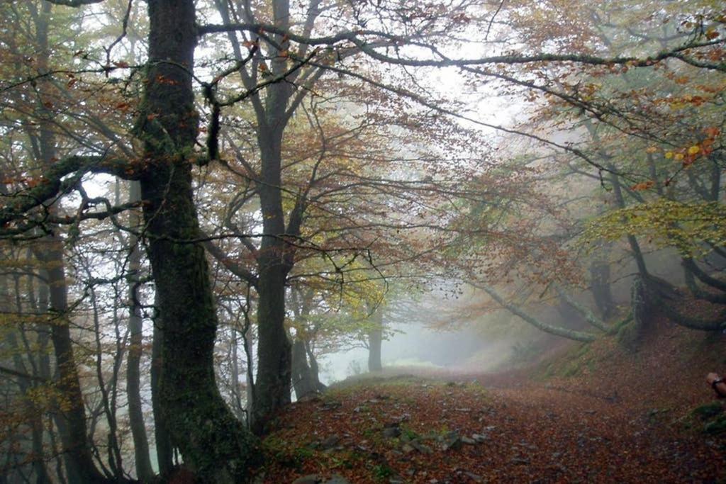 Los Molinos - Atico En Montana De Asturias Felechosa Εξωτερικό φωτογραφία