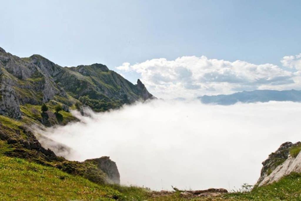 Los Molinos - Atico En Montana De Asturias Felechosa Εξωτερικό φωτογραφία